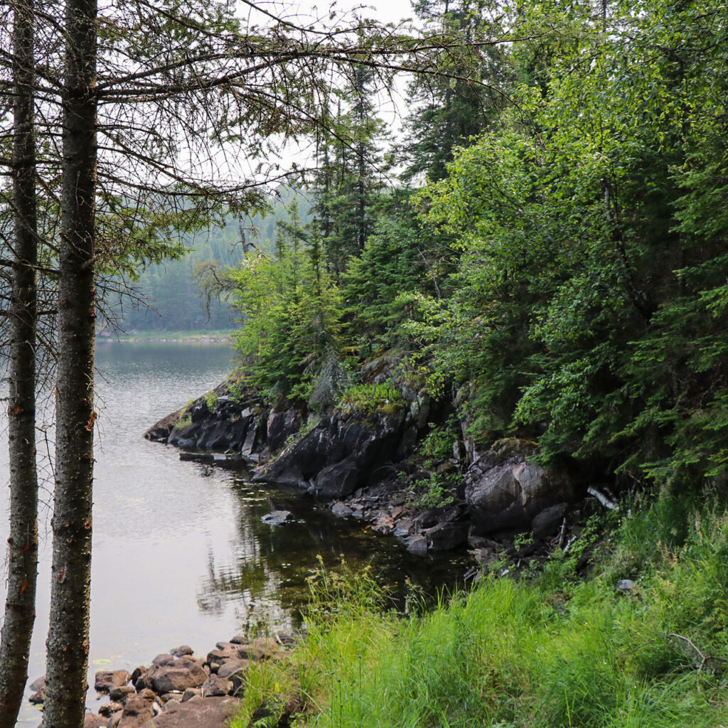 Beer Lake Estate Property Ontario