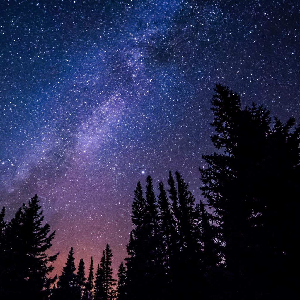 Beer Lake Property Ontario