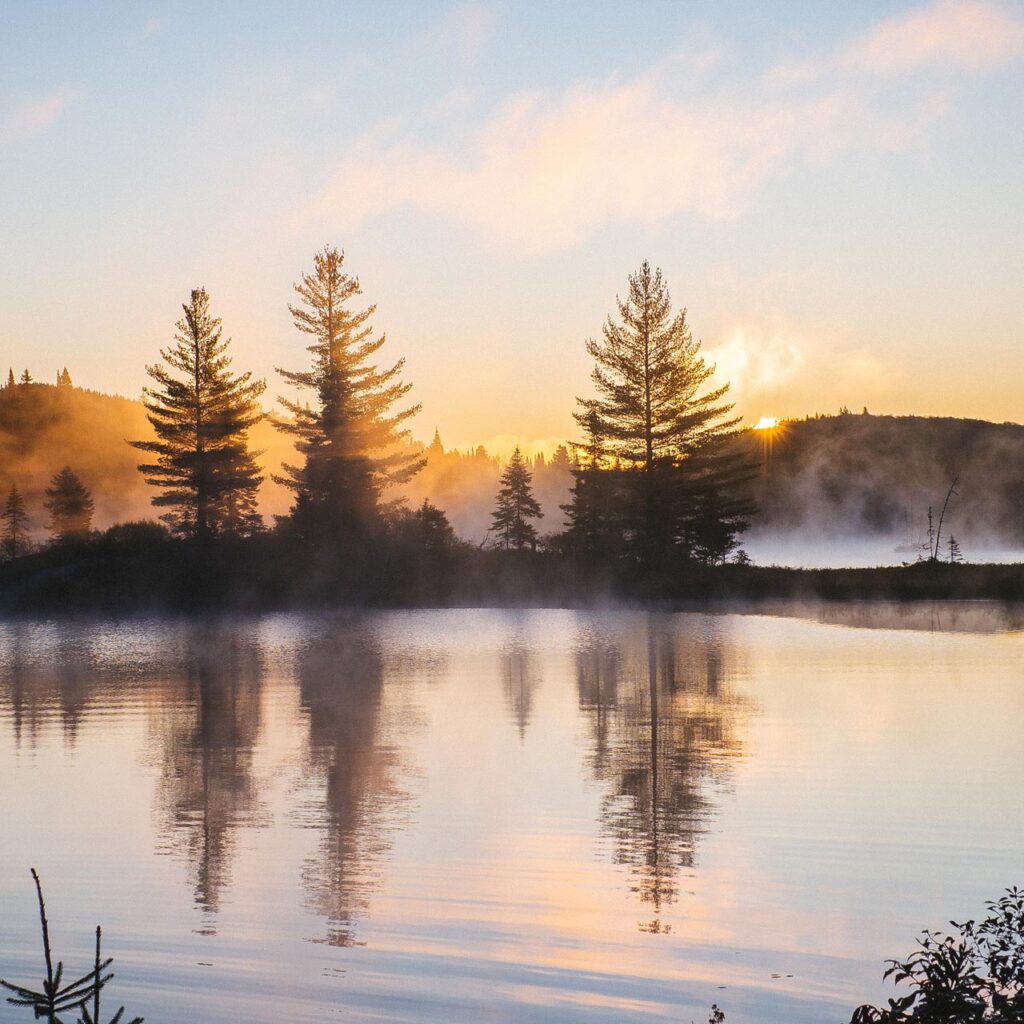 Beer Lake Property Ontario