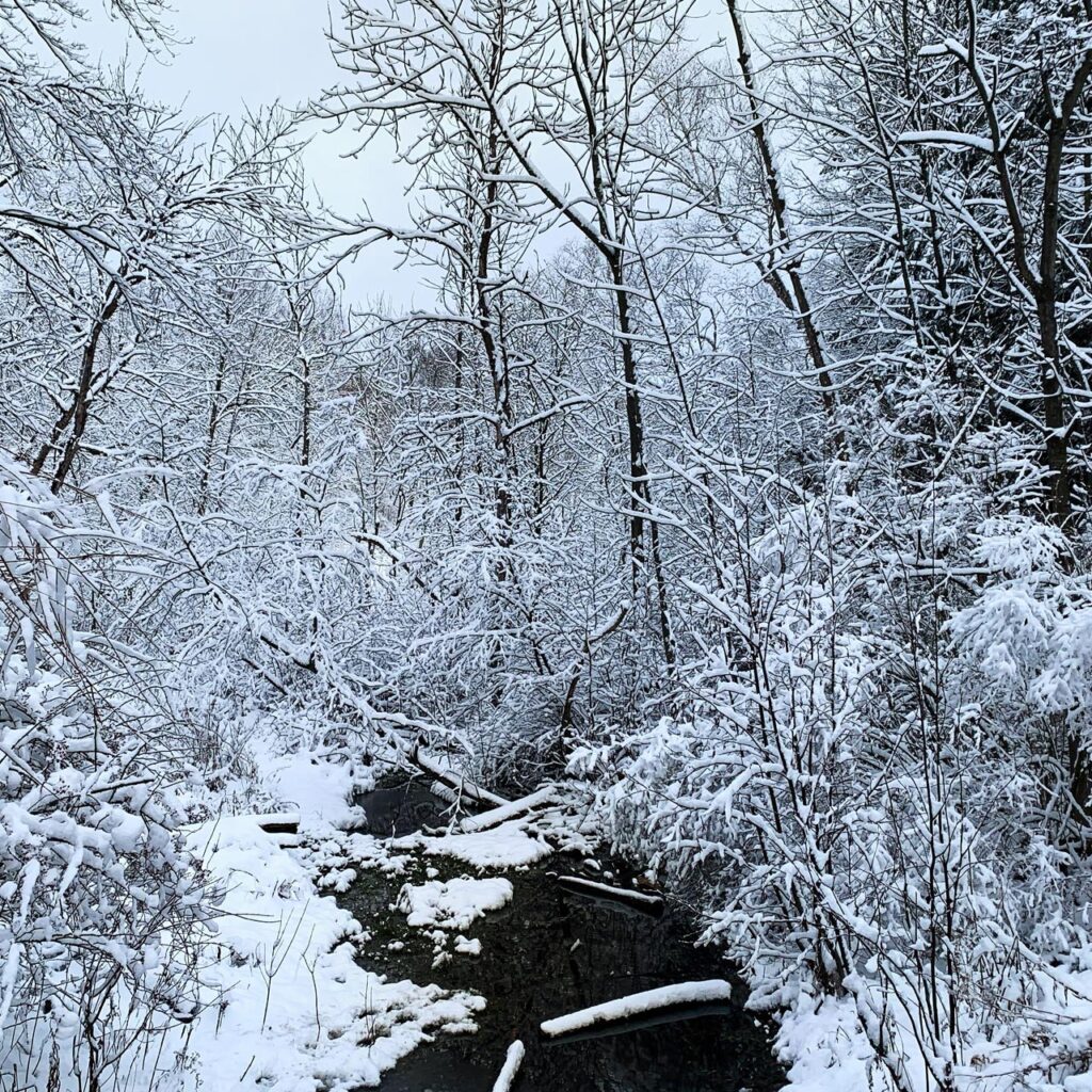 Beer Lake Property Ontario